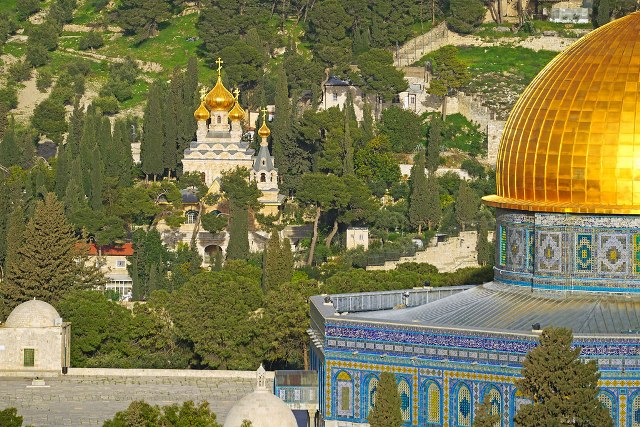 Gethsemane Gardens behind the Dome of the Rock - The Jesus Tour - Israel + Ephesus Extension